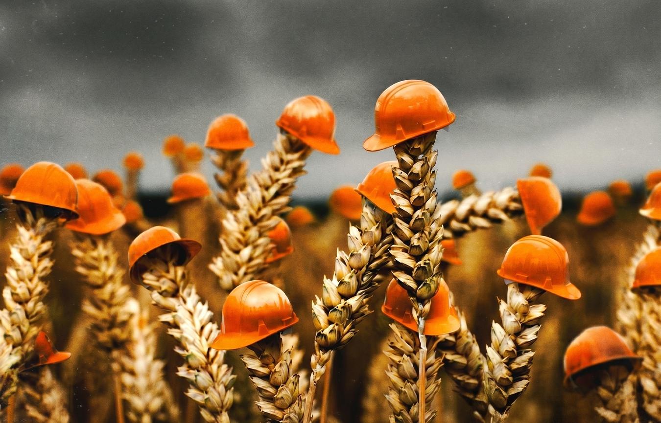 Agricoltura-e-tutele-ecologiche.jpg