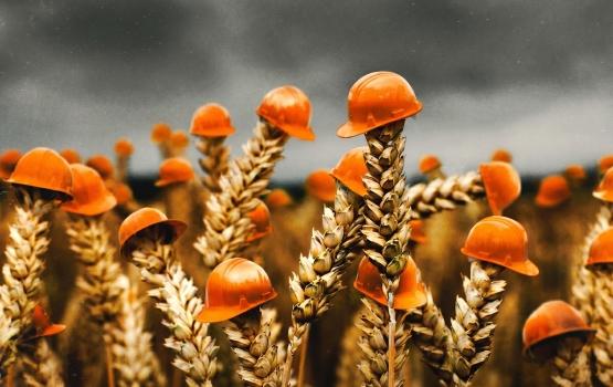 Agricoltura-e-tutele-ecologiche.jpg